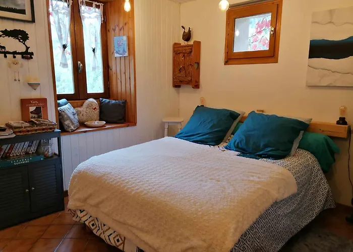 Studio En Rez De Chaussee, Avec Jardin Partage.
