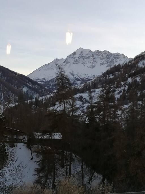 En Rez De Chaussee, Avec Jardin Partage. Appartement *